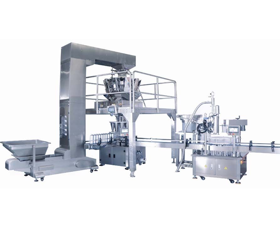 Granules,Particles Weighing filling machine system  for seeds,dry fruit,snack food FH-SFM014